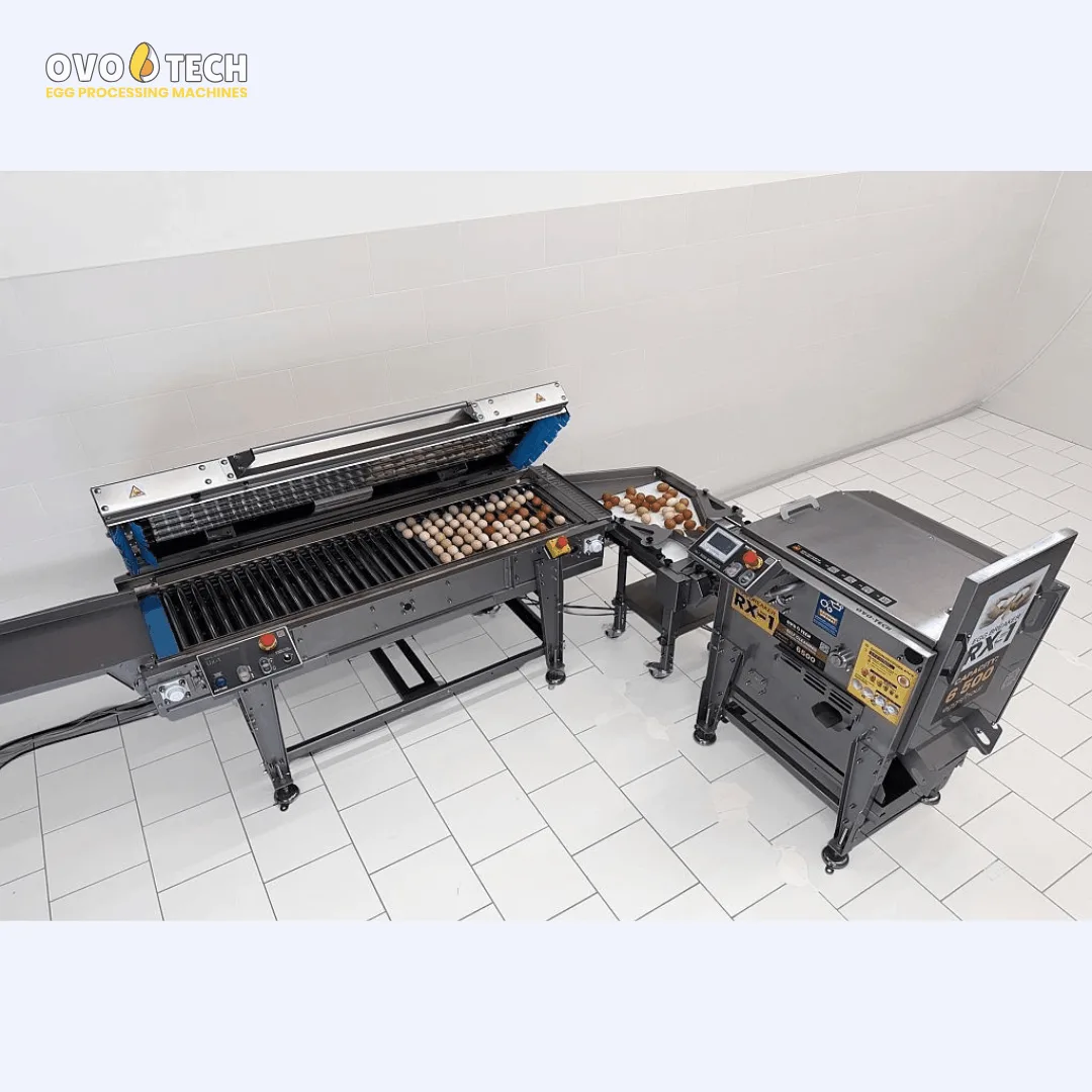 COMPACT Disinfection | Breaking & Separation UX-1 | RX-1 - Mesin Bakery OVO-TECH