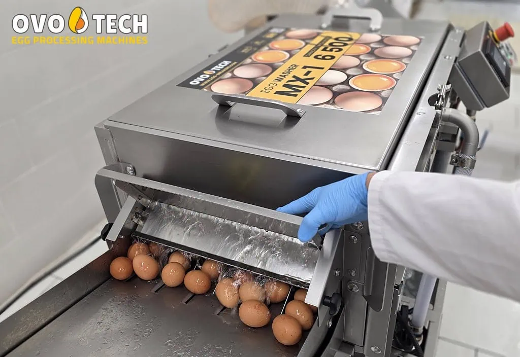 MX-1 tunnel egg washer - Gambar 12