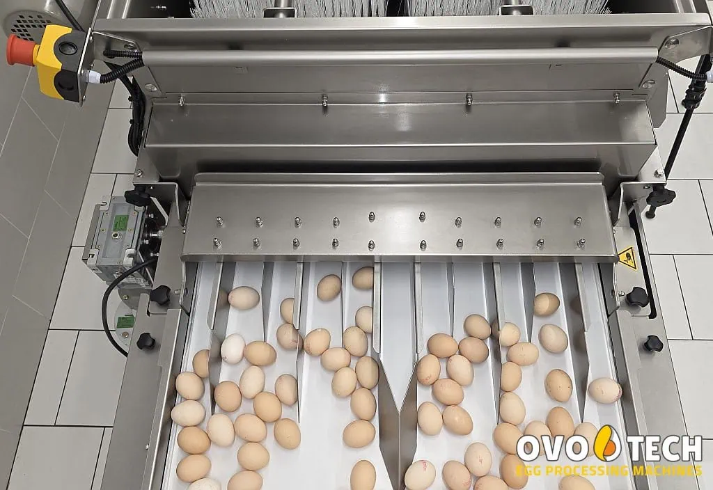 MX-2 tunnel egg washer - Gambar 9