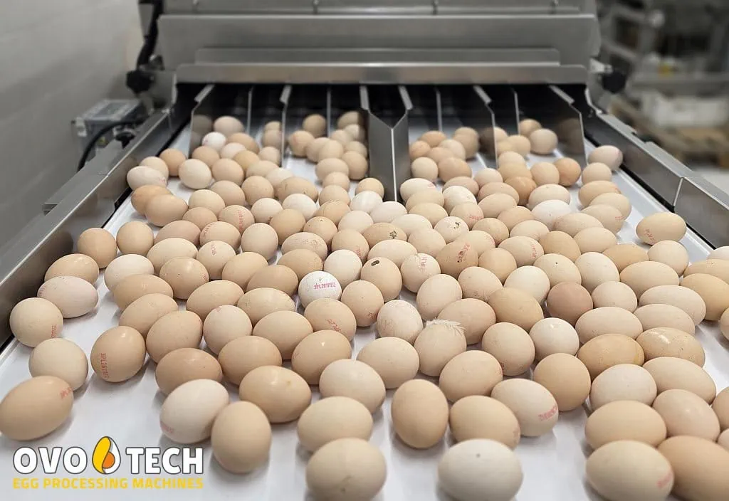 MX-2 tunnel egg washer - Gambar 8