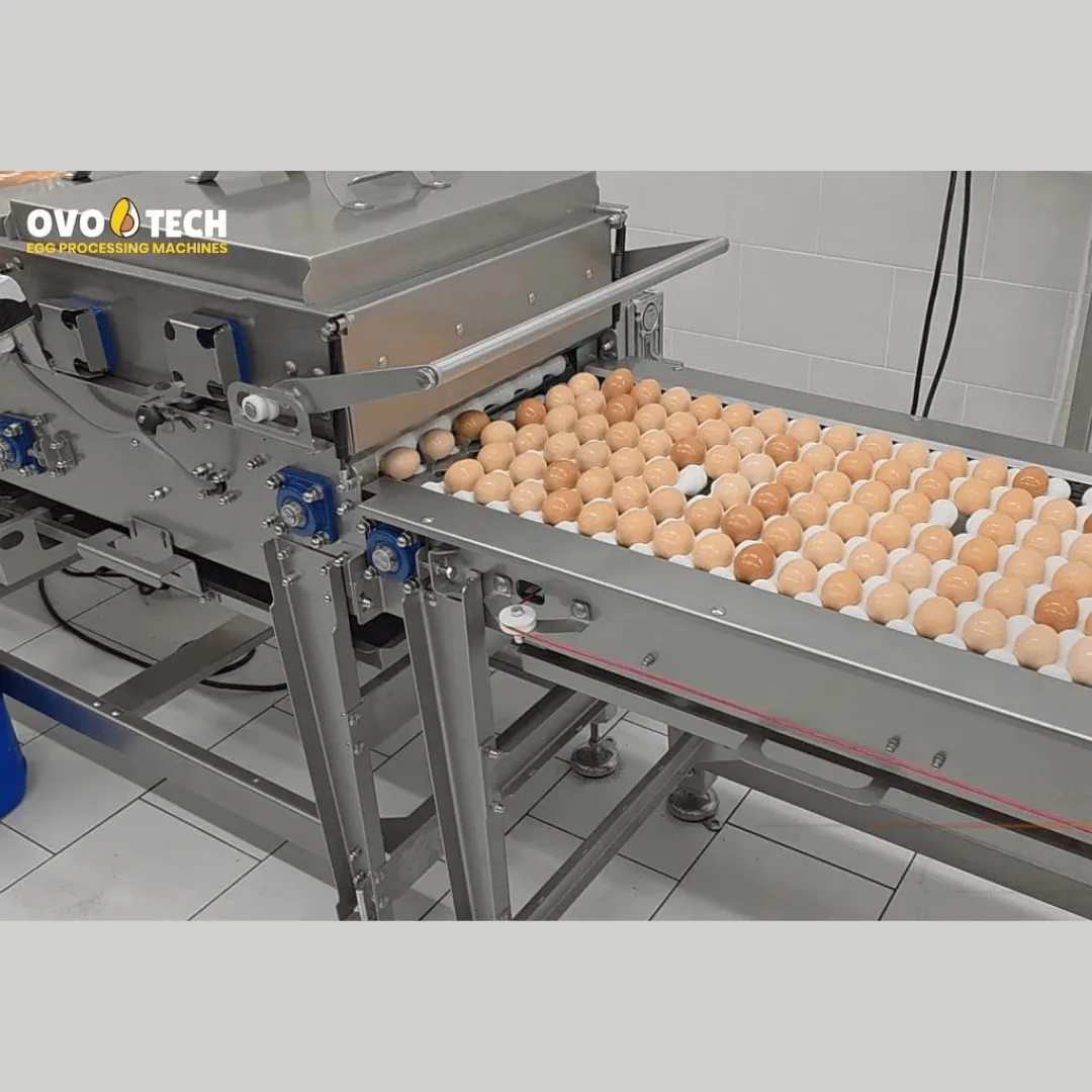 OS-1 egg coating system - Gambar 7