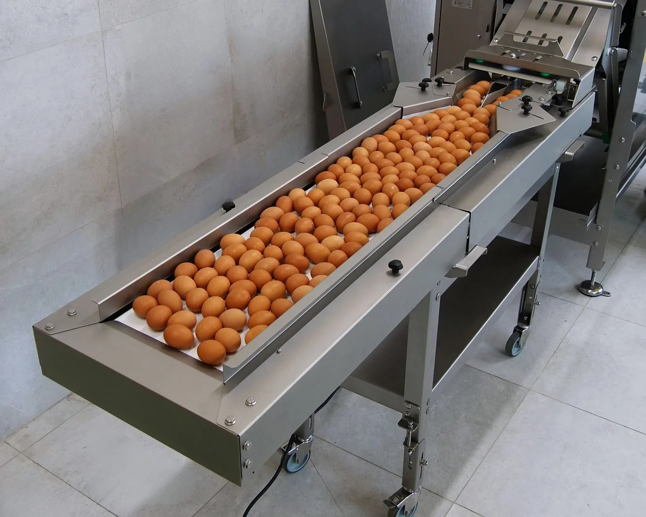 RX-2 egg breaker - Gambar 9